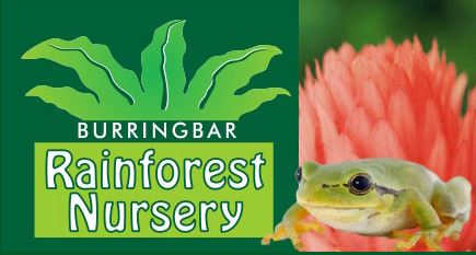 Burringbar Rainforest Nursery just up the road from Heaths Old Wares